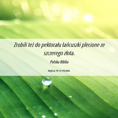 Picture 06 - Wyjścia 39:15 POLUBG - Zrobili też do pektorału łańcuszki plecione - Bible Verse Picture