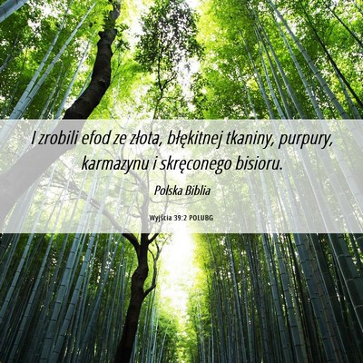 Picture 06 - Wyjścia 39:2 POLUBG - I zrobili efod ze złota, błękitnej tkaniny, - Bible Verse Picture