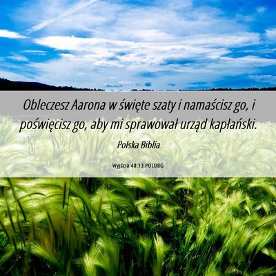Picture 06 - Wyjścia 40:13 POLUBG - Obleczesz Aarona w święte szaty i namaścisz - Bible Verse Picture
