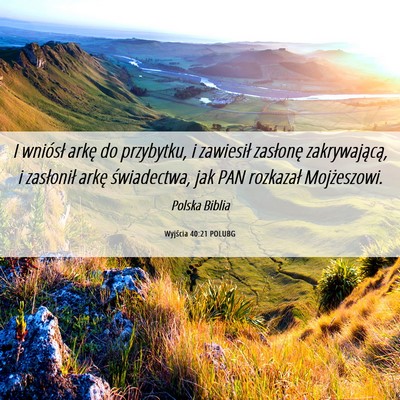 Picture 06 - Wyjścia 40:21 POLUBG - I wniósł arkę do przybytku, i zawiesił - Bible Verse Picture