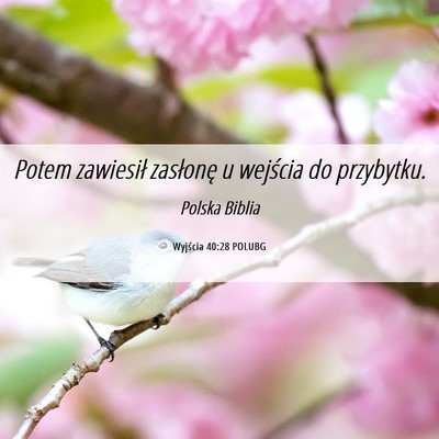 Picture 06 - Wyjścia 40:28 POLUBG - Potem zawiesił zasłonę u wejścia do - Bible Verse Picture