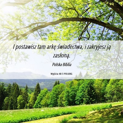Picture 06 - Wyjścia 40:3 POLUBG - I postawisz tam arkę świadectwa, i zakryjesz - Bible Verse Picture