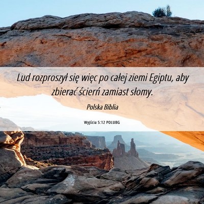 Picture 06 - Wyjścia 5:12 POLUBG - Lud rozproszył się więc po całej ziemi - Bible Verse Picture