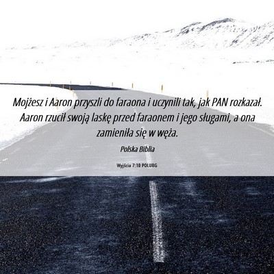 Picture 06 - Wyjścia 7:10 POLUBG - Mojżesz i Aaron przyszli do faraona i uczynili - Bible Verse Picture