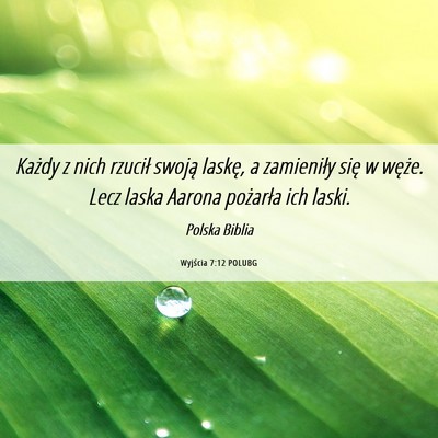 Picture 06 - Wyjścia 7:12 POLUBG - Każdy z nich rzucił swoją laskę, a zamieniły - Bible Verse Picture