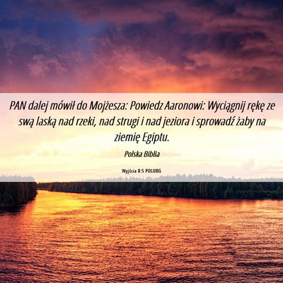 Picture 06 - Wyjścia 8:5 POLUBG - PAN dalej mówił do Mojżesza: Powiedz Aaronowi: - Bible Verse Picture