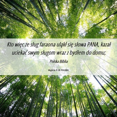 Picture 06 - Wyjścia 9:20 POLUBG - Kto więc ze sług faraona uląkł się słowa - Bible Verse Picture