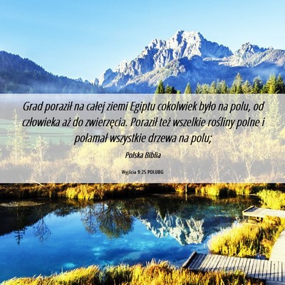 Picture 06 - Wyjścia 9:25 POLUBG - Grad poraził na całej ziemi Egiptu cokolwiek - Bible Verse Picture