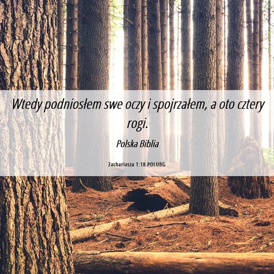 Picture 06 - Zachariasza 1:18 POLUBG - Wtedy podniosłem swe oczy i spojrzałem, a oto - Bible Verse Picture