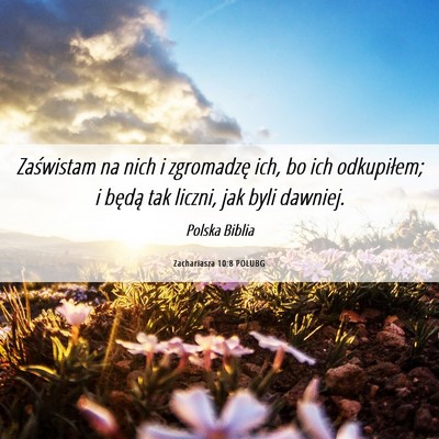 Picture 06 - Zachariasza 10:8 POLUBG - Zaświstam na nich i zgromadzę ich, bo ich - Bible Verse Picture