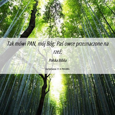 Picture 06 - Zachariasza 11:4 POLUBG - Tak mówi PAN, mój Bóg: Paś owce przeznaczone - Bible Verse Picture