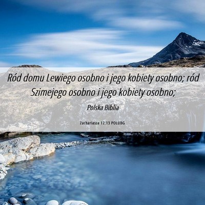 Picture 06 - Zachariasza 12:13 POLUBG - Ród domu Lewiego osobno i jego kobiety osobno; - Bible Verse Picture