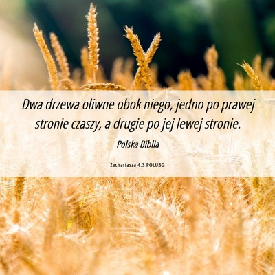 Picture 06 - Zachariasza 4:3 POLUBG - Dwa drzewa oliwne obok niego, jedno po prawej - Bible Verse Picture