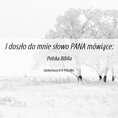 Picture 06 - Zachariasza 6:9 POLUBG - I doszło do mnie słowo PANA - Bible Verse Picture
