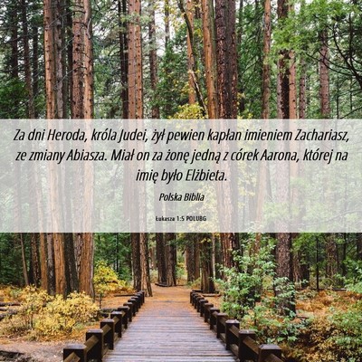 Picture 06 - Łukasza 1:5 POLUBG - Za dni Heroda, króla Judei, żył pewien kapłan - Bible Verse Picture