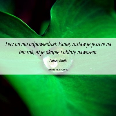 Picture 06 - Łukasza 13:8 POLUBG - Lecz on mu odpowiedział: Panie, zostaw je - Bible Verse Picture