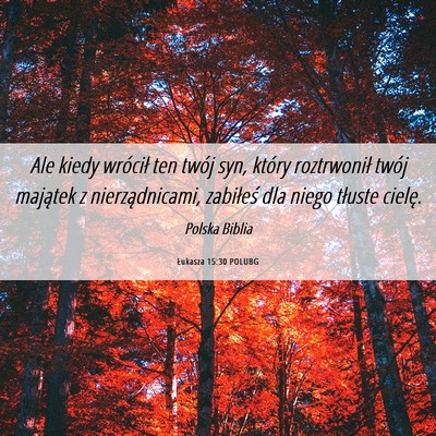 Picture 06 - Łukasza 15:30 POLUBG - Ale kiedy wrócił ten twój syn, który - Bible Verse Picture