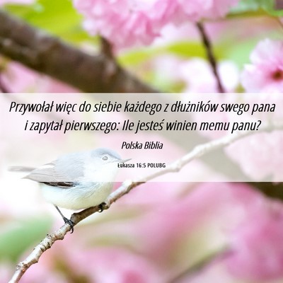 Picture 06 - Łukasza 16:5 POLUBG - Przywołał więc do siebie każdego z - Bible Verse Picture