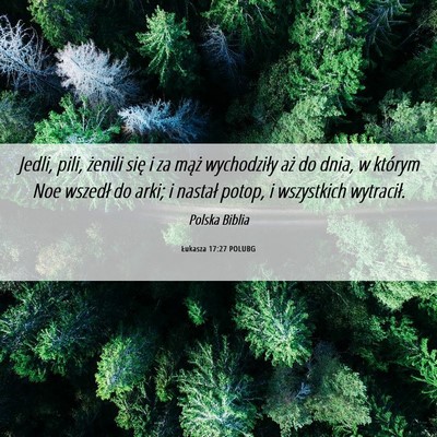 Picture 06 - Łukasza 17:27 POLUBG - Jedli, pili, żenili się i za mąż wychodziły - Bible Verse Picture