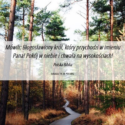 Picture 06 - Łukasza 19:38 POLUBG - Mówili: Błogosławiony król, który przychodzi - Bible Verse Picture