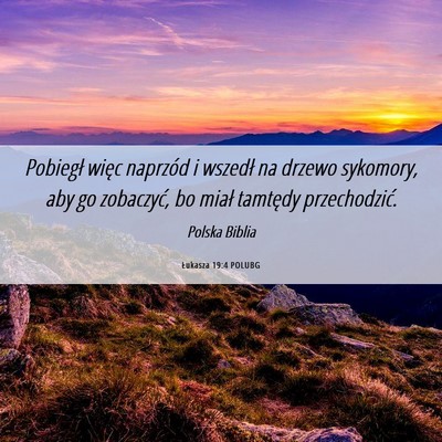 Picture 06 - Łukasza 19:4 POLUBG - Pobiegł więc naprzód i wszedł na drzewo - Bible Verse Picture