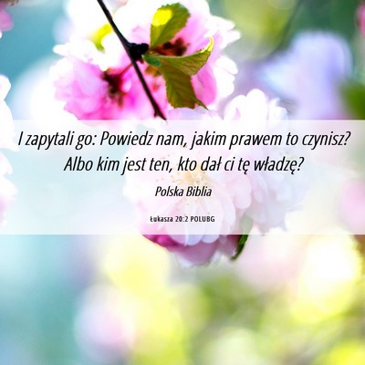 Picture 06 - Łukasza 20:2 POLUBG - I zapytali go: Powiedz nam, jakim prawem to - Bible Verse Picture
