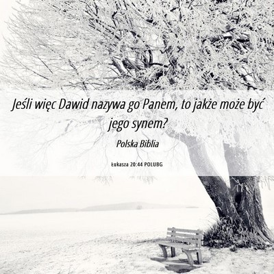 Picture 06 - Łukasza 20:44 POLUBG - Jeśli więc Dawid nazywa go Panem, to jakże - Bible Verse Picture