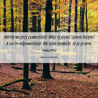 Picture 06 - Łukasza 22:70 POLUBG - Wtedy wszyscy powiedzieli: Więc ty jesteś Synem - Bible Verse Picture