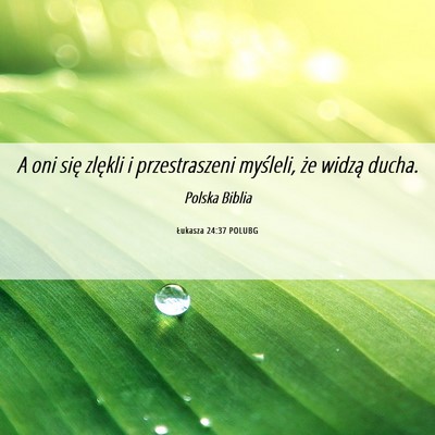 Picture 06 - Łukasza 24:37 POLUBG - A oni się zlękli i przestraszeni myśleli, że - Bible Verse Picture