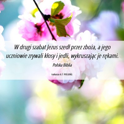 Picture 06 - Łukasza 6:1 POLUBG - W drugi szabat Jezus szedł przez zboża, a jego - Bible Verse Picture