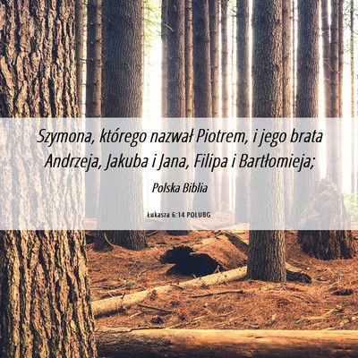 Picture 06 - Łukasza 6:14 POLUBG - Szymona, którego nazwał Piotrem, i jego brata - Bible Verse Picture