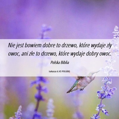 Picture 06 - Łukasza 6:43 POLUBG - Nie jest bowiem dobre to drzewo, które wydaje - Bible Verse Picture