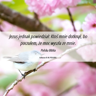 Picture 06 - Łukasza 8:46 POLUBG - Jezus jednak powiedział: Ktoś mnie dotknął, - Bible Verse Picture