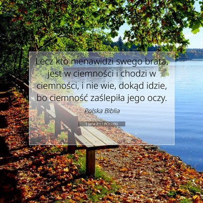 Picture 07 - 1 Jana 2:11 POLUBG - Lecz kto nienawidzi swego brata, jest w - Bible Verse Picture
