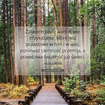 Picture 07 - 1 Jana 2:8 POLUBG - Zarazem piszę wam nowe przykazanie, które jest - Bible Verse Picture