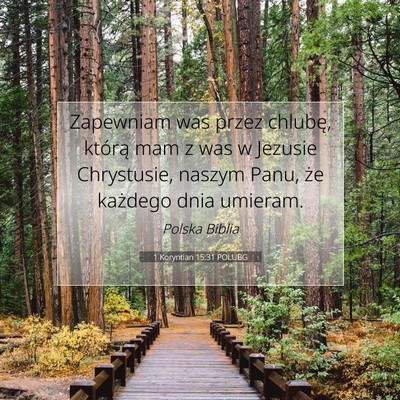 Picture 07 - 1 Koryntian 15:31 POLUBG - Zapewniam was przez chlubę, którą mam z was w - Bible Verse Picture