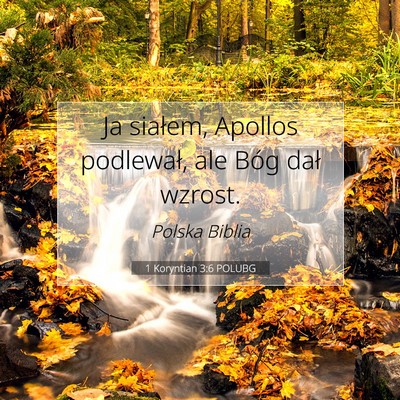 Picture 07 - 1 Koryntian 3:6 POLUBG - Ja siałem, Apollos podlewał, ale Bóg dał - Bible Verse Picture