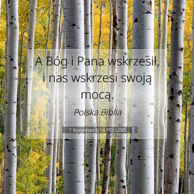 Picture 07 - 1 Koryntian 6:14 POLUBG - A Bóg i Pana wskrzesił, i nas wskrzesi swoją - Bible Verse Picture