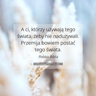 Picture 07 - 1 Koryntian 7:31 POLUBG - A ci, którzy używają tego świata, żeby nie - Bible Verse Picture