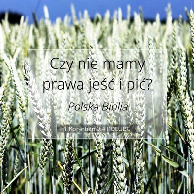 Picture 07 - 1 Koryntian 9:4 POLUBG - Czy nie mamy prawa jeść i - Bible Verse Picture