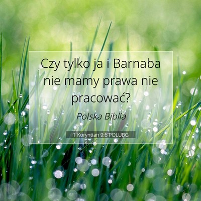 Picture 07 - 1 Koryntian 9:6 POLUBG - Czy tylko ja i Barnaba nie mamy prawa nie - Bible Verse Picture