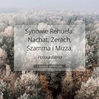 Picture 07 - 1 Kronik 1:37 POLUBG - Synowie Rehuela: Nachat, Zerach, Szamma i - Bible Verse Picture