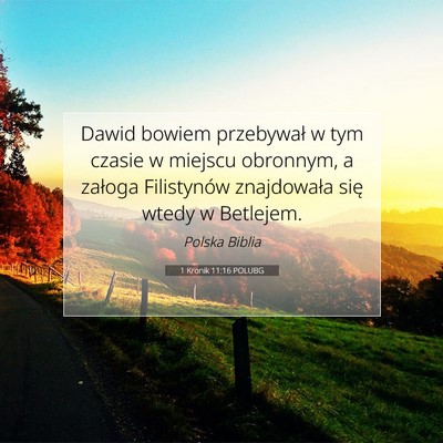 Picture 07 - 1 Kronik 11:16 POLUBG - Dawid bowiem przebywał w tym czasie w miejscu - Bible Verse Picture