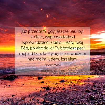 Picture 07 - 1 Kronik 11:2 POLUBG - Już przedtem, gdy jeszcze Saul był królem, - Bible Verse Picture