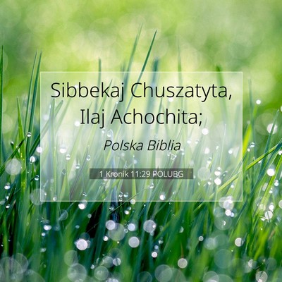 Picture 07 - 1 Kronik 11:29 POLUBG - Sibbekaj Chuszatyta, Ilaj - Bible Verse Picture