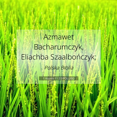Picture 07 - 1 Kronik 11:33 POLUBG - Azmawet Bacharumczyk, Eliachba - Bible Verse Picture