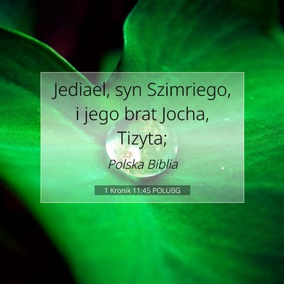 Picture 07 - 1 Kronik 11:45 POLUBG - Jediael, syn Szimriego, i jego brat Jocha, - Bible Verse Picture