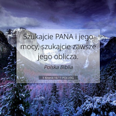 Picture 07 - 1 Kronik 16:11 POLUBG - Szukajcie PANA i jego mocy, szukajcie zawsze jego - Bible Verse Picture