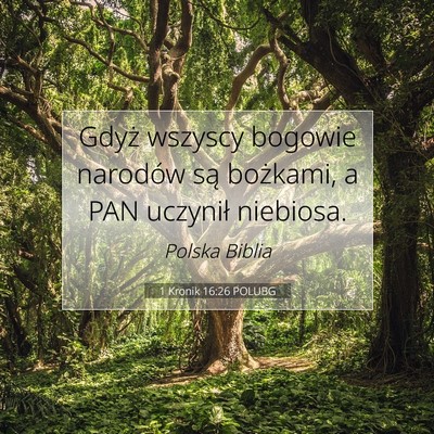 Picture 07 - 1 Kronik 16:26 POLUBG - Gdyż wszyscy bogowie narodów są bożkami, a - Bible Verse Picture
