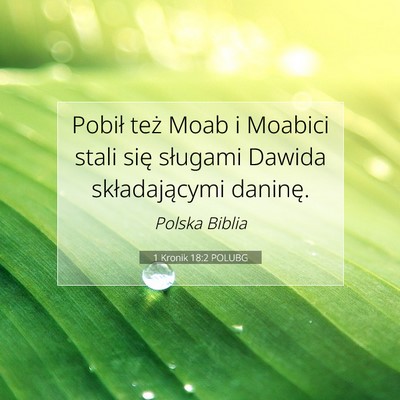 Picture 07 - 1 Kronik 18:2 POLUBG - Pobił też Moab i Moabici stali się sługami - Bible Verse Picture